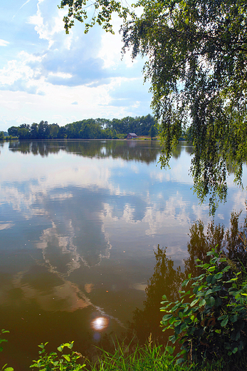 Czechowice-Dziedzice. Stawy hodowlane.