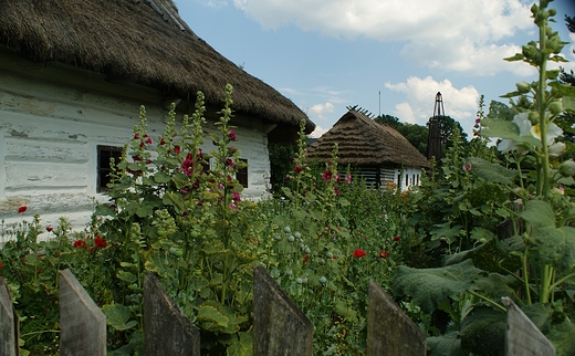 sielskie  obrazki