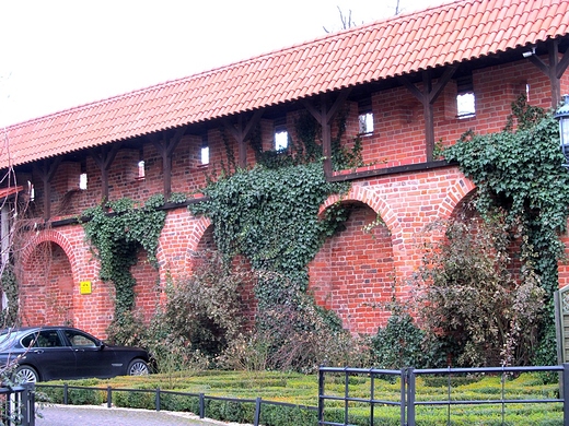 Krzyacki mur