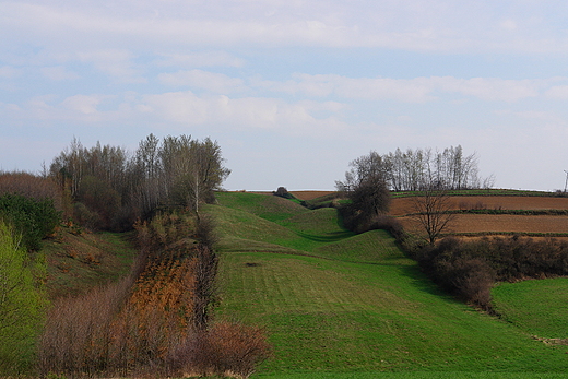 Pola w Szerzawach