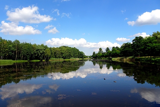 Park im. Jacka Kuronia - Kazimierz Grniczy - Sosnowiec