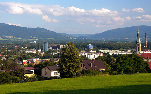 Skoczw. Panorama miasta z Kaplicwki.