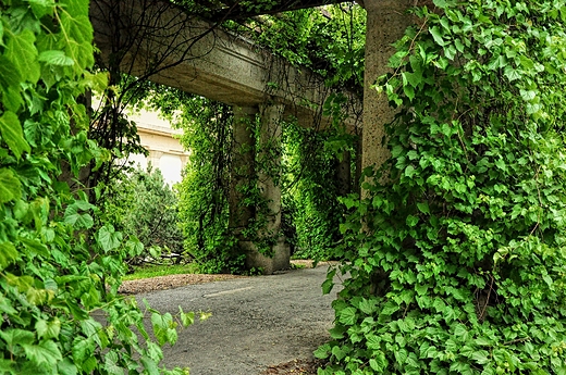 Pergola