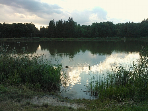 nad zamojskim zalewem