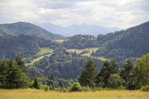 Pieniny