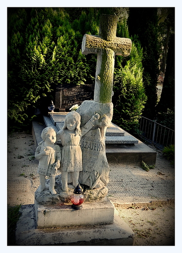na zamojskim cmentarzu parafialnym