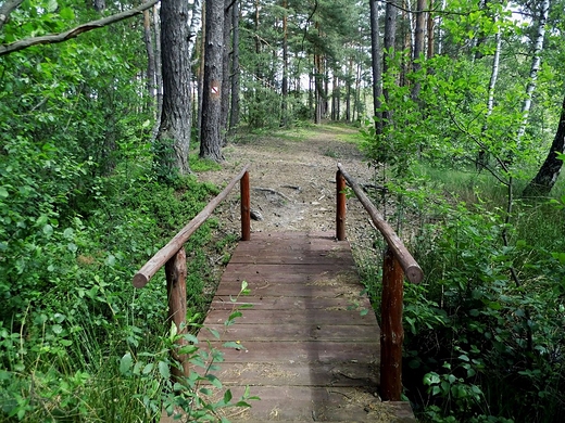 cieka przyrodnicza Kobyle Jezioro