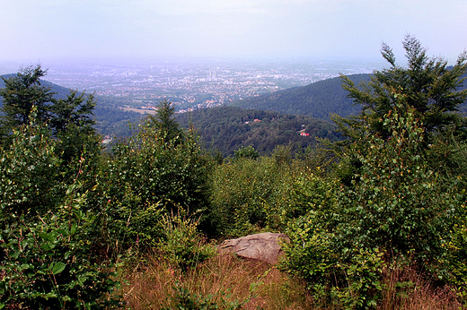 Widok na Bielsko-Biaa ze stokw Magurki.