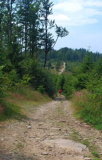 Beskid May. W drodze na Czupel - 930m npm.