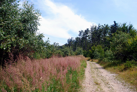 Beskid May. Droga na Czupel.