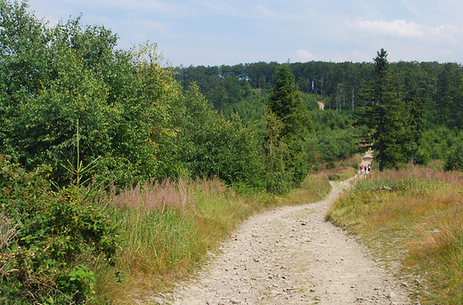 Beskid May. Droga na Czupel.