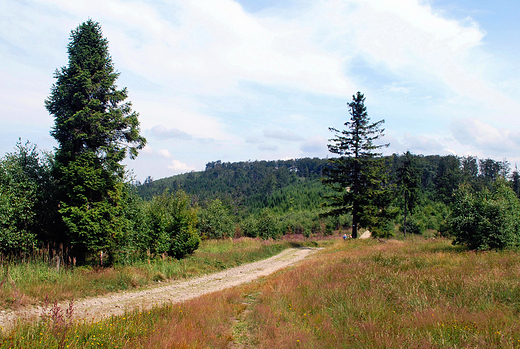 Beskid May. Kopua Czupla 933 m npm.