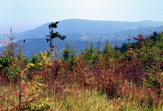 Widok na Beskid May z Czupla.