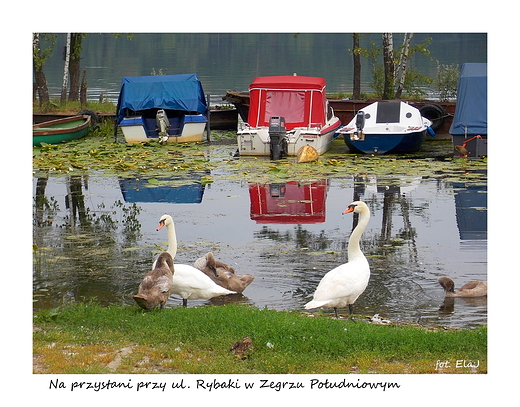 Na przystani w Zegrzu Poudniowym