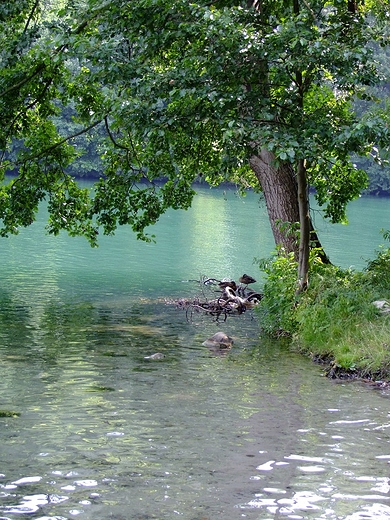 Jezioro Trzeniowskie