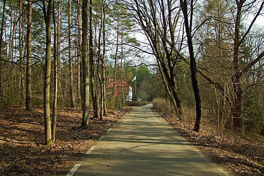W Woziwodzie