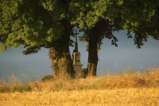 Grabowczyk. Przydrona kapliczka.