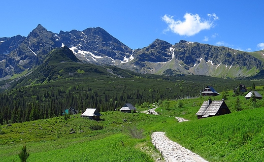 Hala Gsienicowa