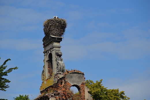 Ujazd - Bociane gniazdo na ruinach zamku