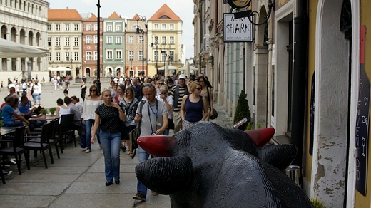 Stary Rynek