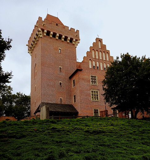 Zamek Przemysła