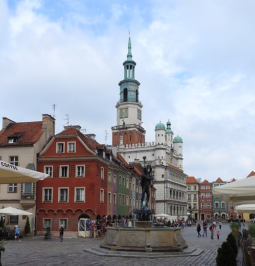 Rynek