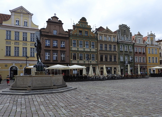 Rynek