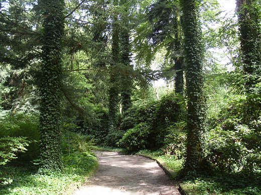 Arboretum