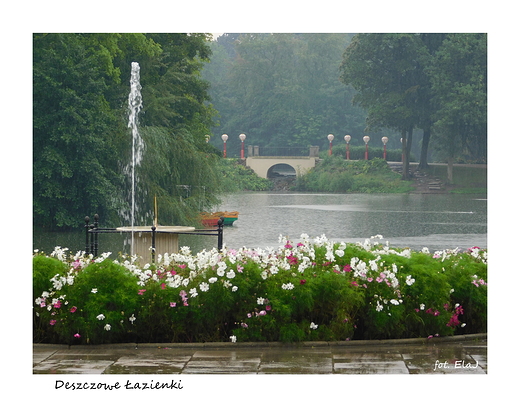 Warszawa. Deszczowe azienki