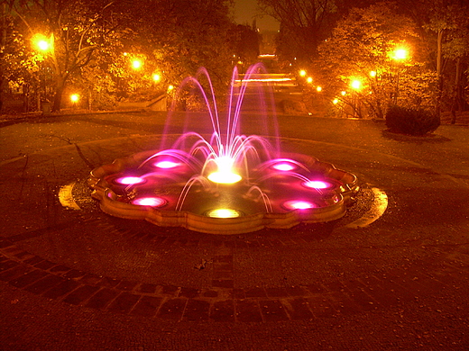 Warszawska fontanna
