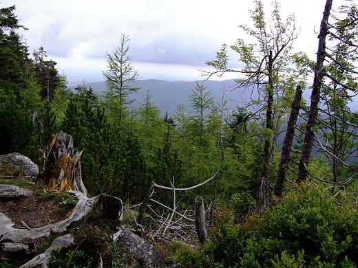 Widok ze Stogu Izerskiego