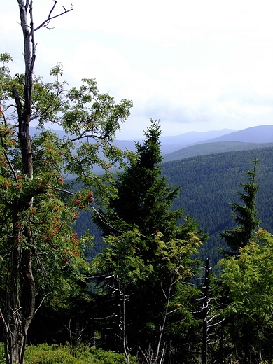 Widok ze Stogu Izerskiego