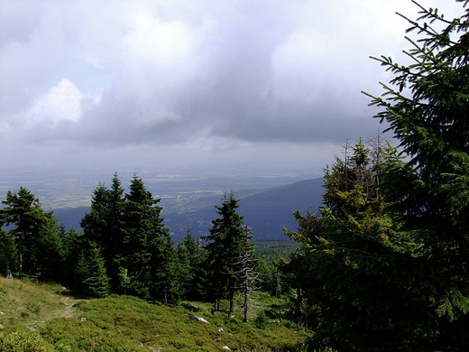 Widok ze Stogu Izerskiego