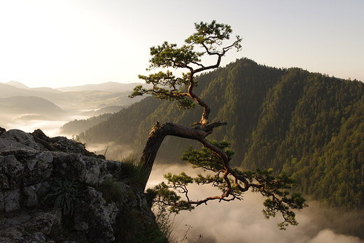 widok z Sokolicy