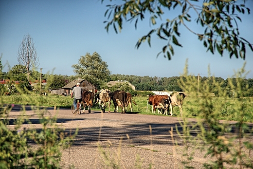 Podlaskie klimaty