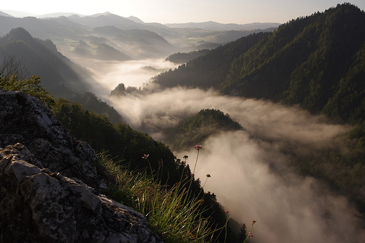 Pieniny