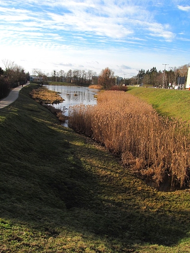 Staw na osiedlu KASZOWNIK