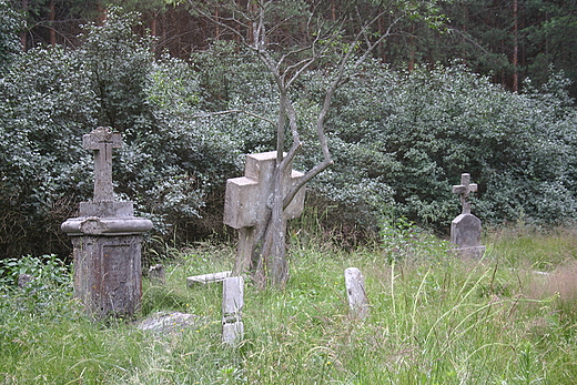 Cmentarz ewangelicki w Famułkach Łazowskich