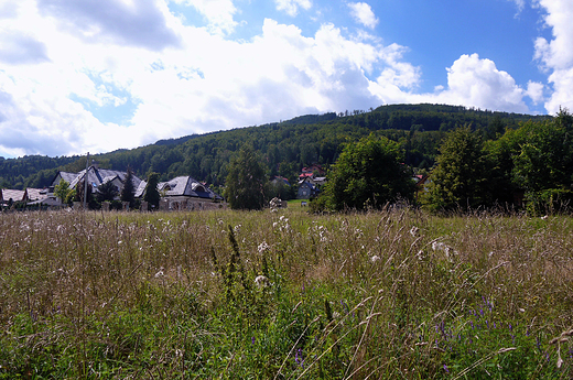 Beskid lski. W drodze z Mesznej na Klimczok.