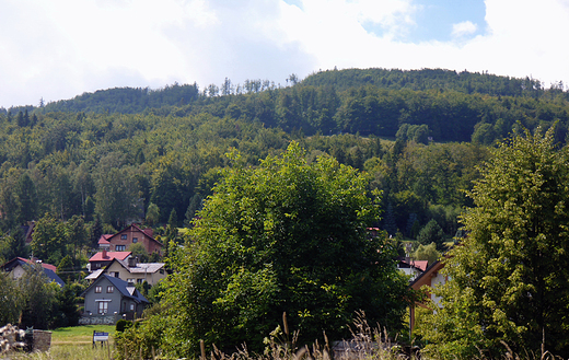 Beskid lski. W drodze z Mesznej na Klimczok.