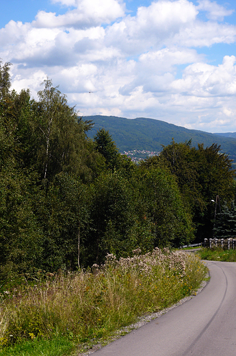 Beskid lski. W drodze z Mesznej na Klimczok.