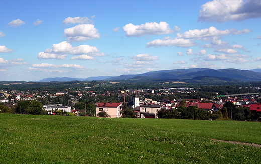 Panorama Skoczowa.