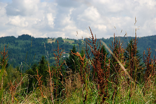 Widok ze Skolnity