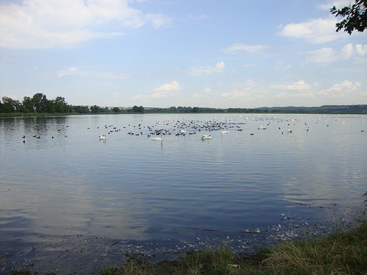 Wielikt-Obszar Natura 2000