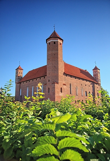 Zamek