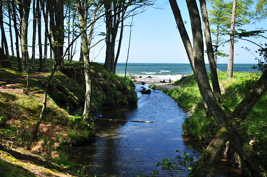 Orzechówka
