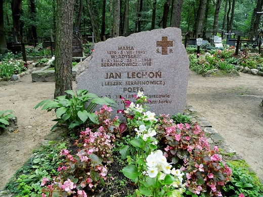 Cmentarz leśny. Grób Jana Lechonia
