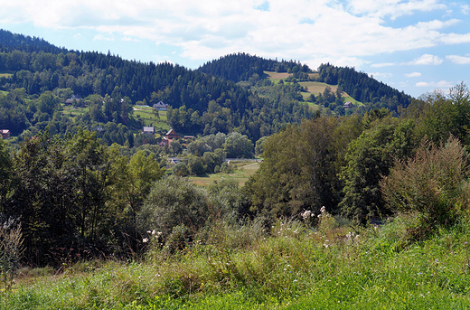 Beskid Sdecki w okolicy Limanowej.