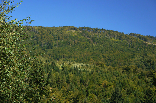 Szczyrk Bia.Panorama z drogi na Karkoszczonk.