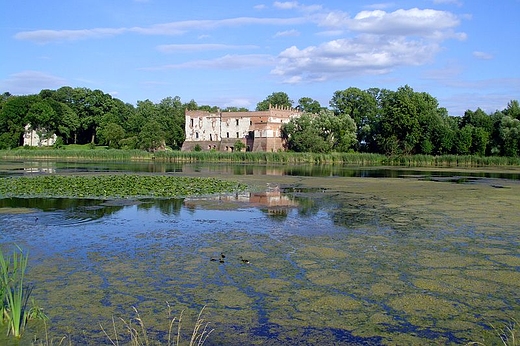 Panorama zamku w Krupem k. Krasnegostawu